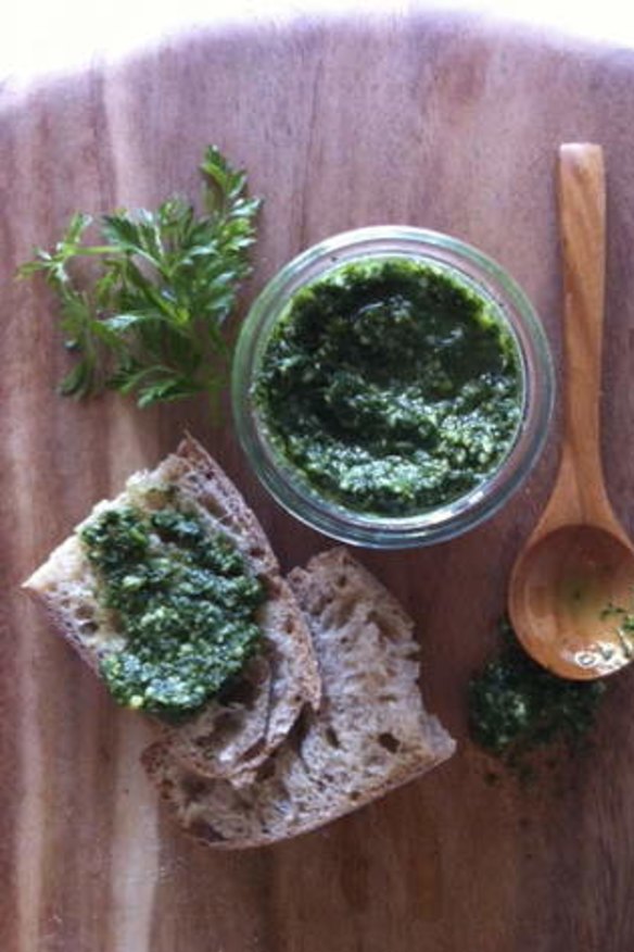 Waste not! Carrot-top pesto is delicious and thrifty.