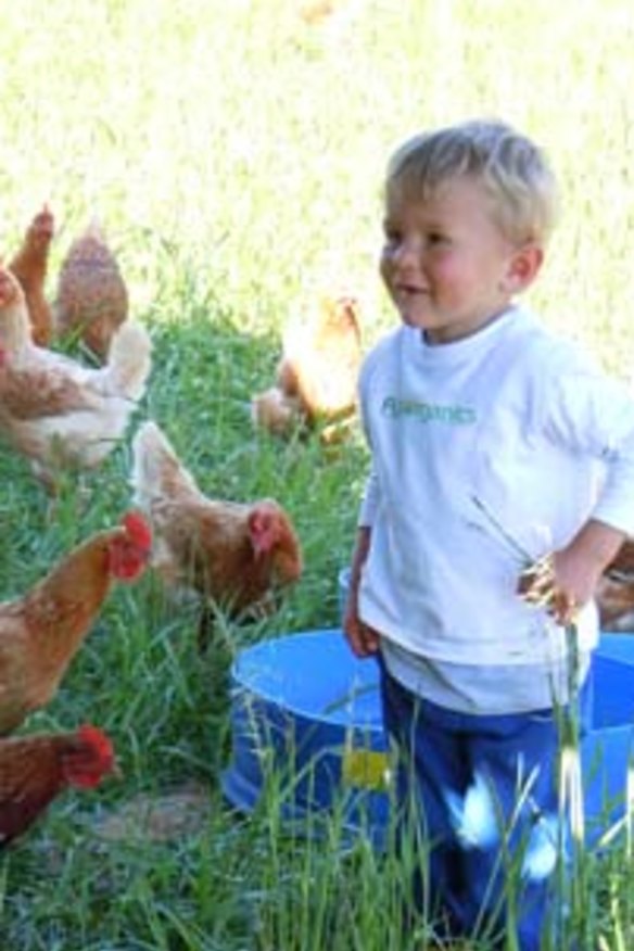 Chooks and more ... FUN Organics will swing open its gate this weekend.