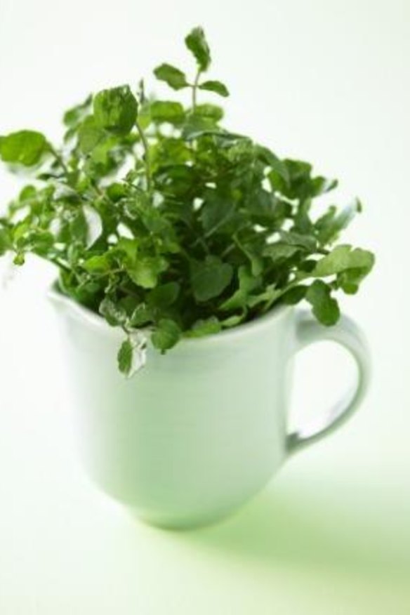 A reader is concerned about fluke eggs in wild-harvested cress.