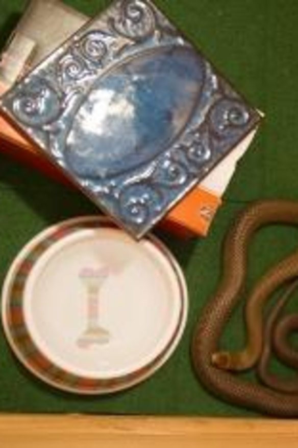 Snake handling promotes shifts not cuts