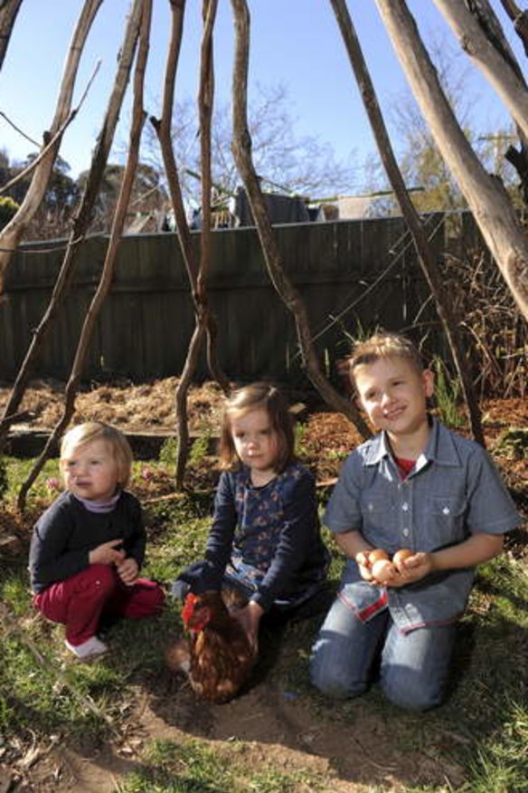 Michelle McDonald's children, Olivia, 2, Amelia, 6 and Angus, 8, with Tinkerbell the chook and some eggs.    photo.JPG