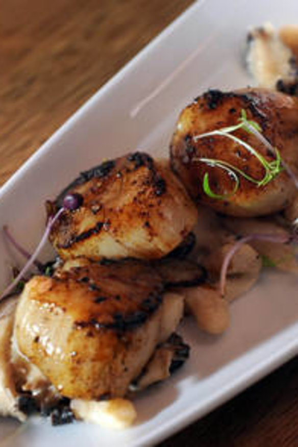 Scallops tossed with beans.