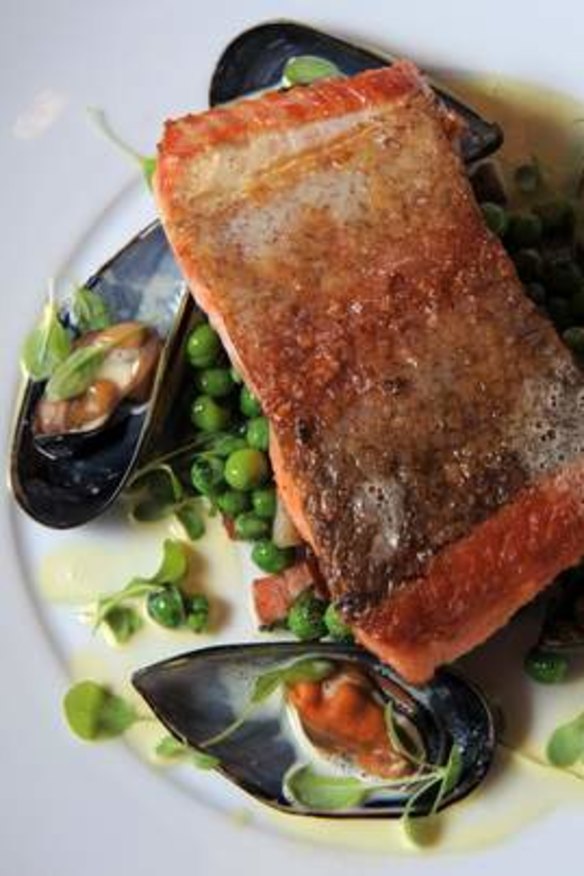 Pan-fried ocean trout, green pea and bacon, saffron mussels at Konoba.