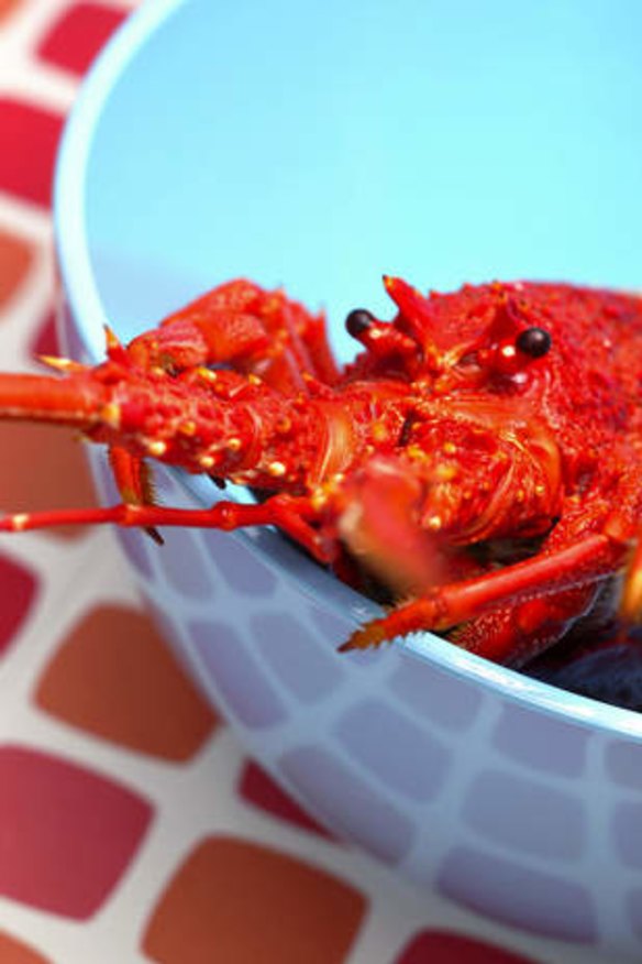 Fresh crayfish appreciate non-wooded subtle white wines.