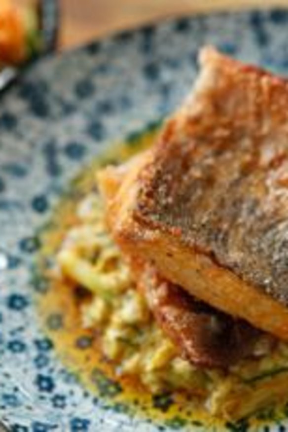 Baby barramundi with mud crab.