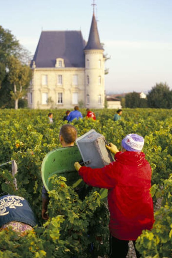 Rich harvest &#8230; 2012 saw the release of one of the greatest Bordeaux vintages.