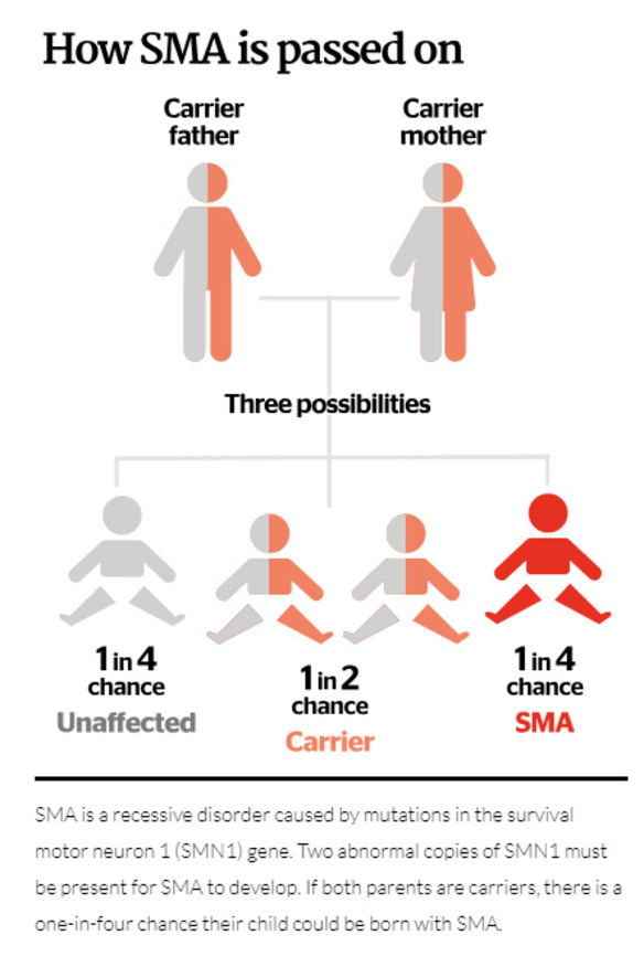How is SMA passed on. 