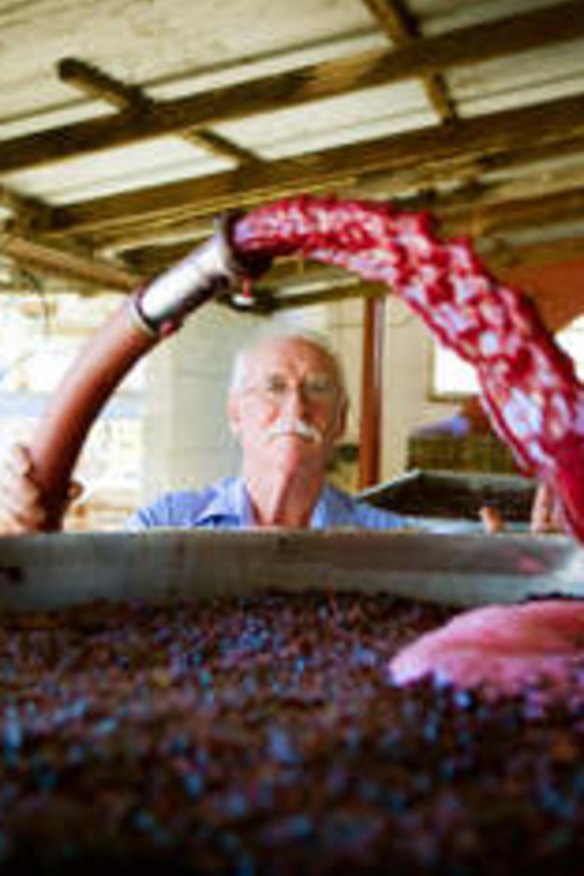 Ken Helm with fermenting grapes.