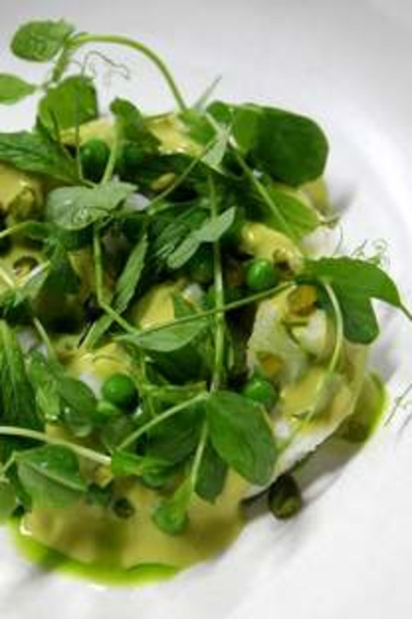 Go-to dish ... salt cod, green peas, mint vinaigrette and pea shoots.