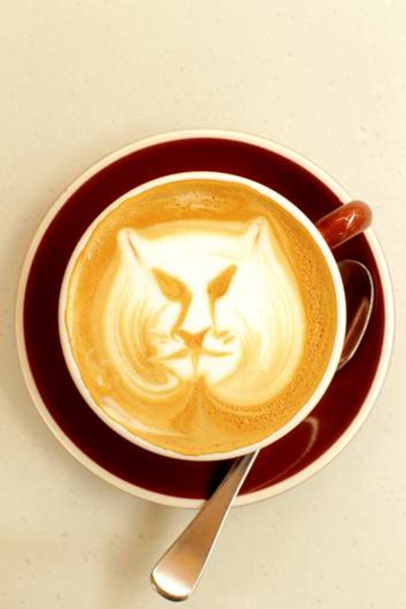 A latte lion ... One of Fomchai Pranomum's designs.
