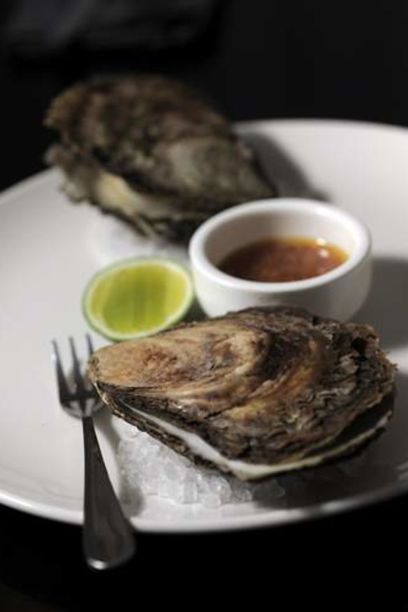 Oysters, cooked on the wood grill.