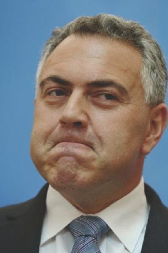 Details have already emerged about Treasurer Joe Hockey's first budget.
