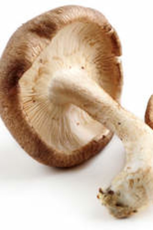 Smoked shiitake mushrooms are on the menu at Sydney's Altitude restaurant.