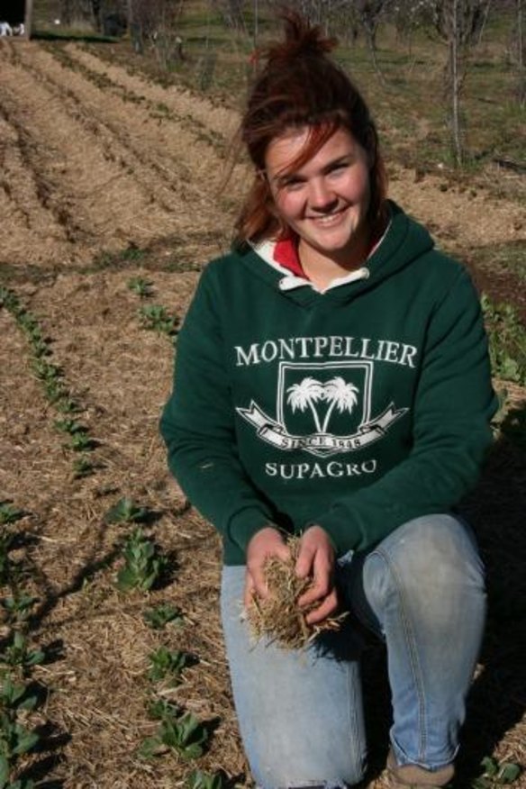 Louise Plottet, of France, mulches broad beans at Loriendale. As an internee in sustainable agriculture, she has been assisting with winter plantings, pruning and orchard maintenance.