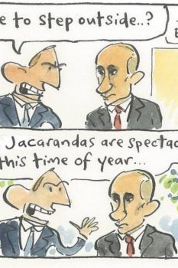 <i>Illustration: Cathy Wilcox</i>