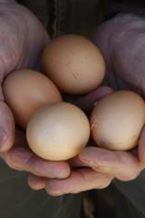 Eggs from Mulloon Creek Natural Farms.