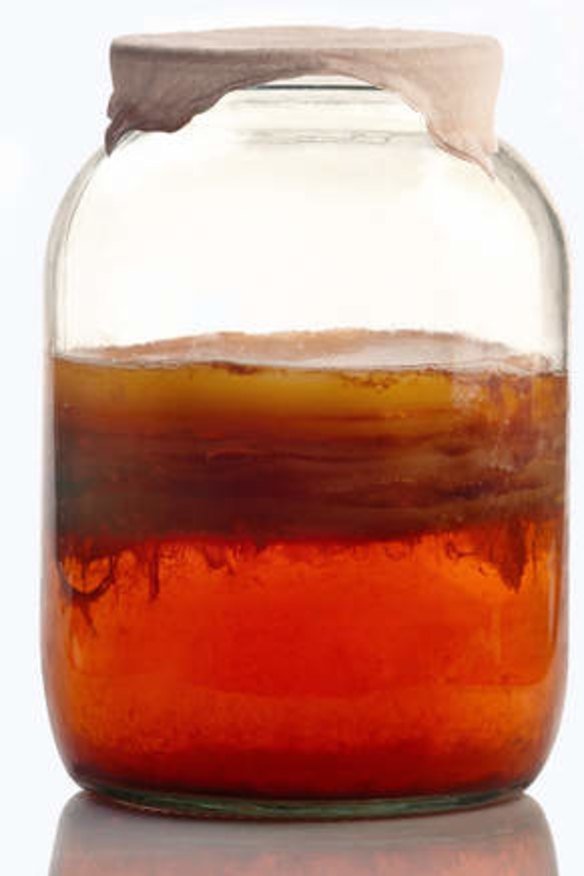 A jar of kombucha tea during fermentation.