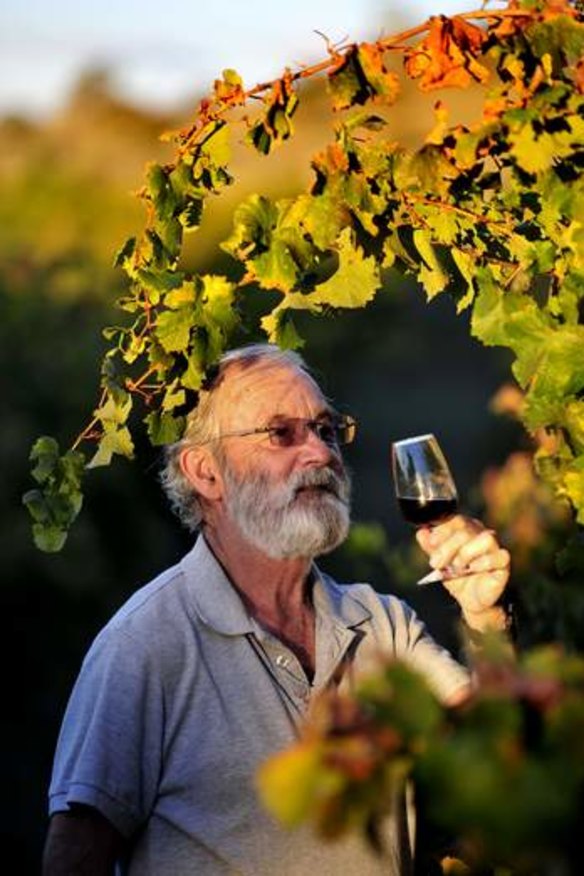 Winemaker Roger Harris celebrating the harvest at his vineyard near Hall.