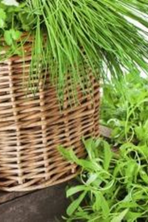 Flavour: Growing your own herbs is very rewarding and great for the kitchen.