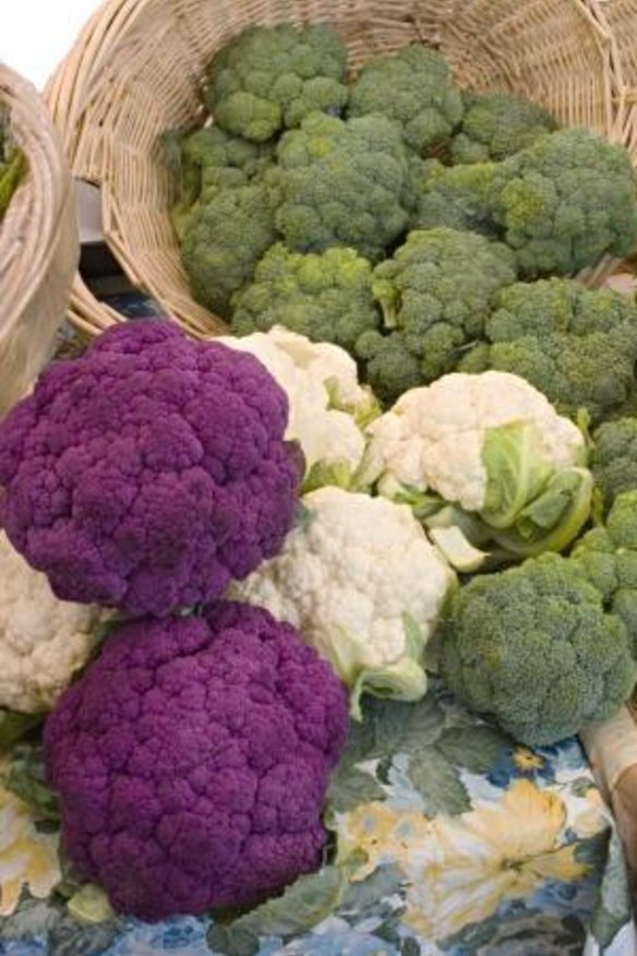 Beautiful brassicas: Now is time to prepare your winter crops.