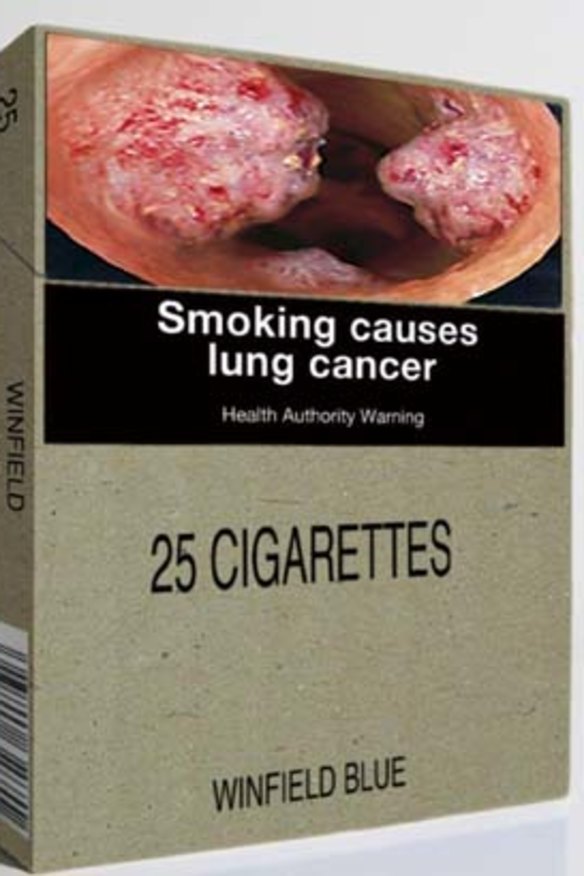 A mock-up of a cigarette package with the branding removed and health warnings displayed.