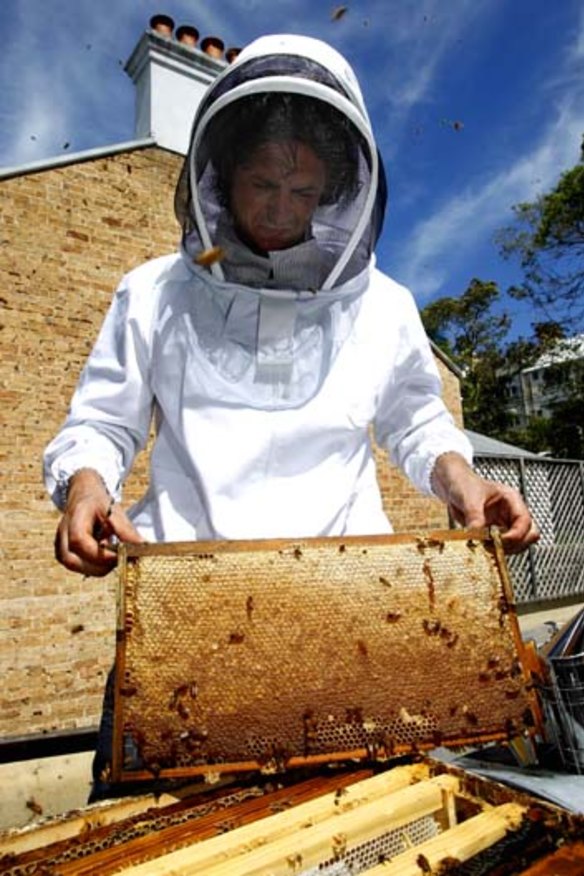 Hive a great idea: Colin Fassnidge with Four in Hand's bees.