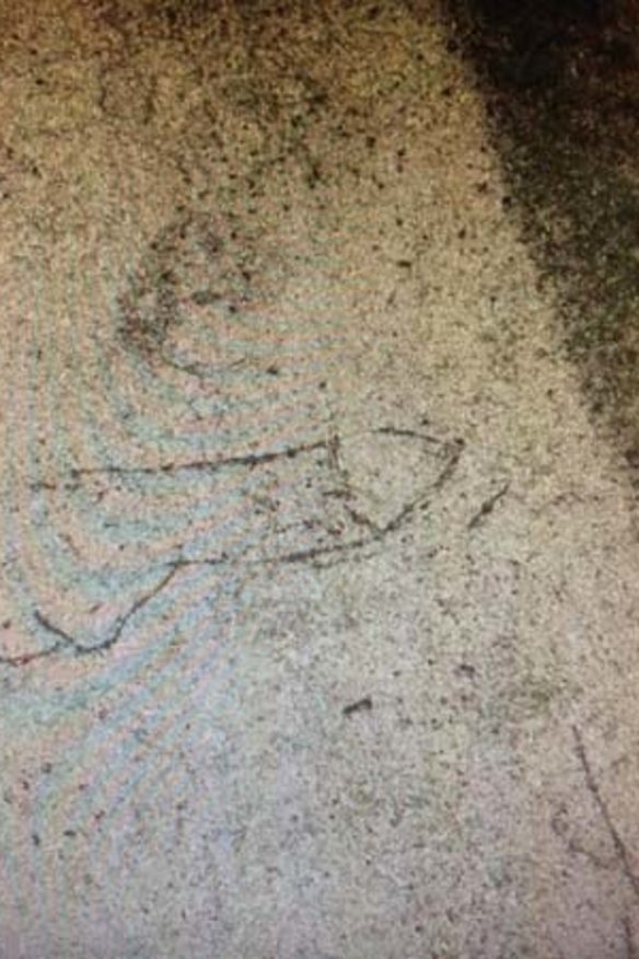 The offending image.