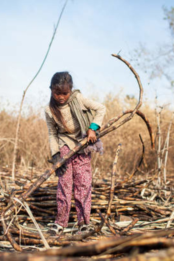 From 5am, several days a week, 11-year-old Li* works alongside her mother, brother and uncle in a Cambodian cane field. The work is hot, hard and long. For bundling 600 pieces of sugar cane she receives one cent. In 2010, they were forcibly evicted to make way for a sugar plantation owned by one of Cambodia's richest men. *Li is a pseudonym to protect the girl's identity.