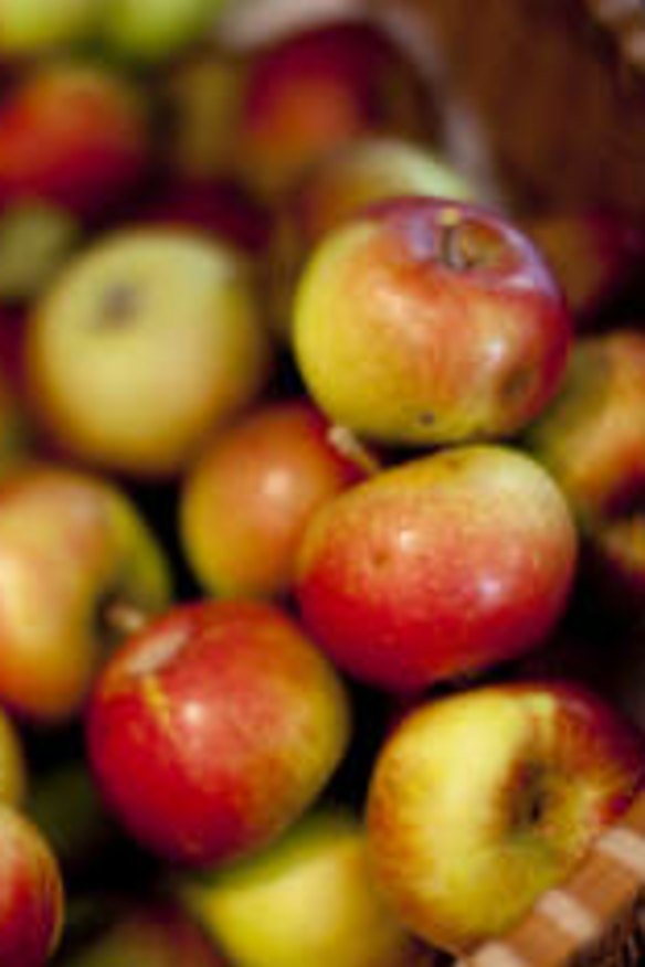 The Batlow Cider Festival is on May 17.
