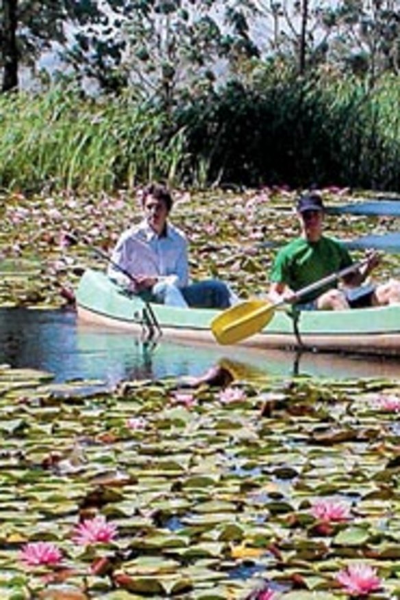 THE TOPS ORGANIC RETREAT, Barrington Tops, NSW.