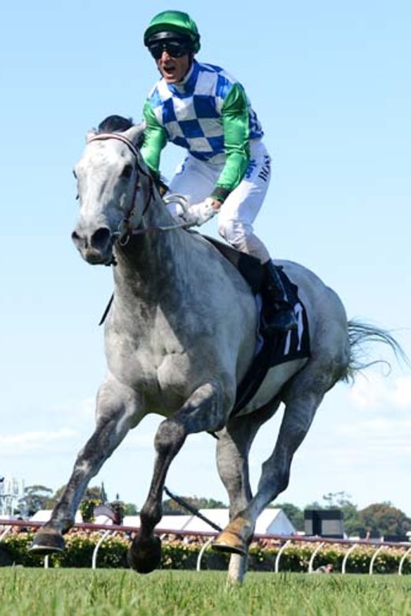 Impressive ... Glen Boss on Puissance De Lune won the The Queen Elizabeth Stakes.