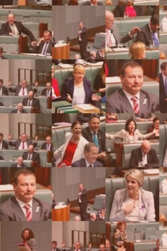 Mosaic of former speaker Bronwyn Bishop made from the photos of MPs who have been suspended from question tIme under 94a.