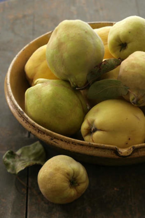 Quinces. Food preparation and styling by Caroline Velik.