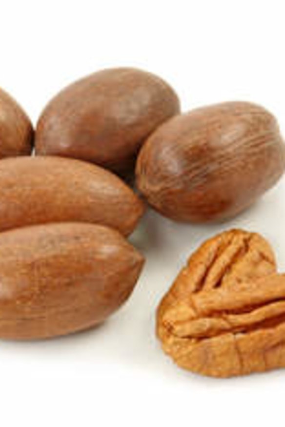 Long term: The first crop of nuts can take up to 10 years.