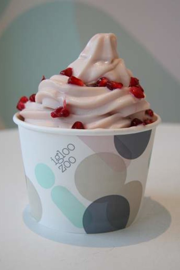 A frozen yoghurt offering from Melbourne's Igloo Zoo.