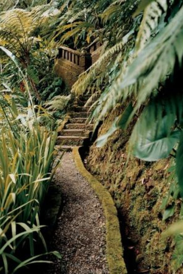 Jungle-fringed perfection at the Como.