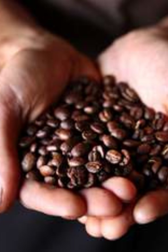 Under threat: climate change and pests may take coffee beans out of safe hands.