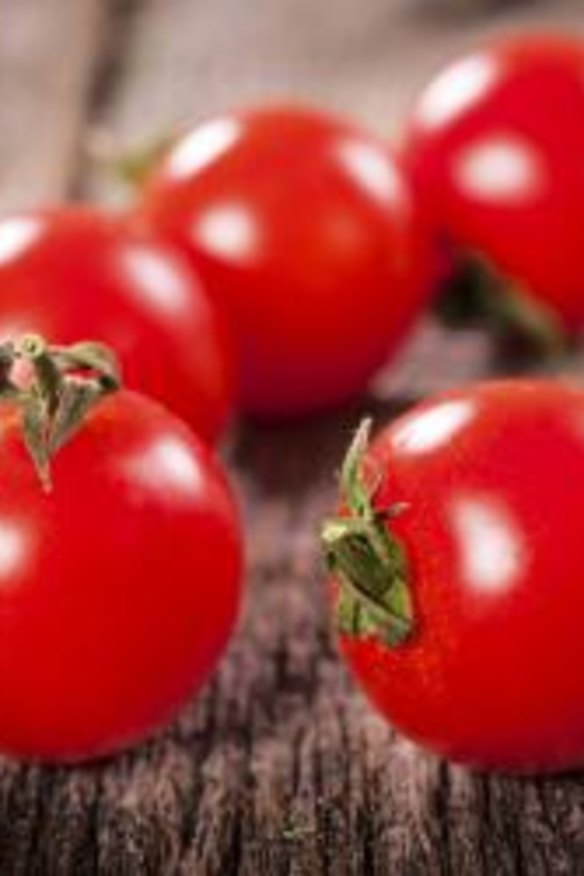 Pick of the crop: It is worth planting several types cherry tomatoes to give you a mix of colours and shapes.