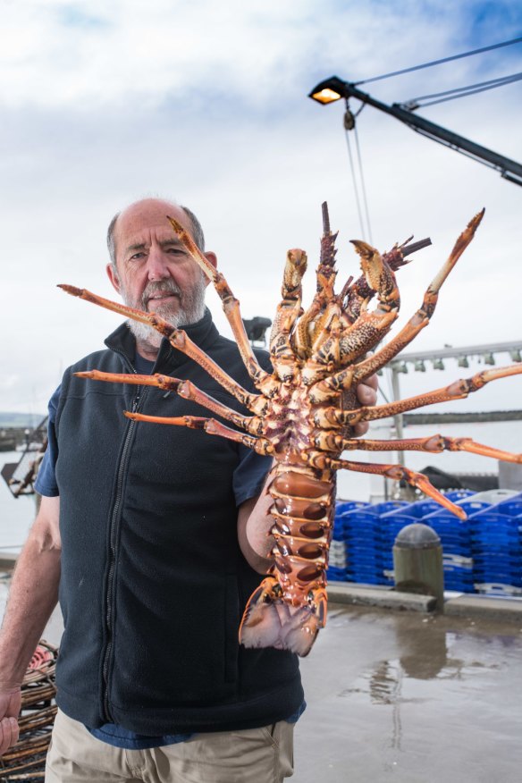 Apollo Bay lobster fisher Russell Frost is urging consumers to buy Victorian lobster this Christmas and support the local crayfish industry.