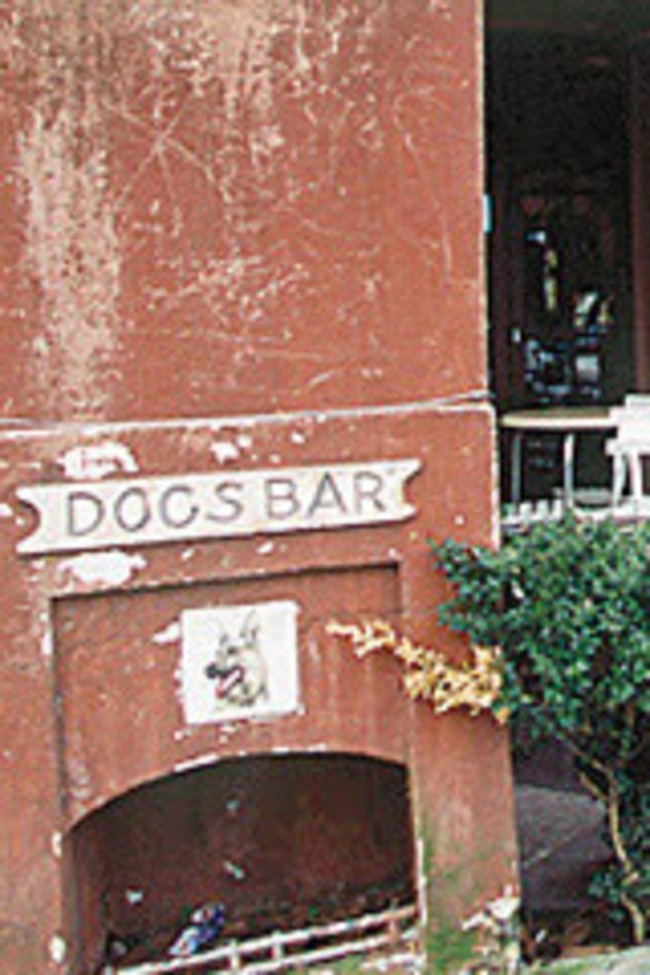 Dog's Bar Article Lead - narrow