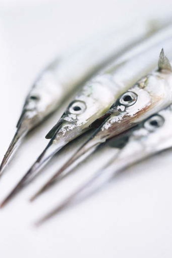 Point of English: The garfish and garlic are related through etymology alone.