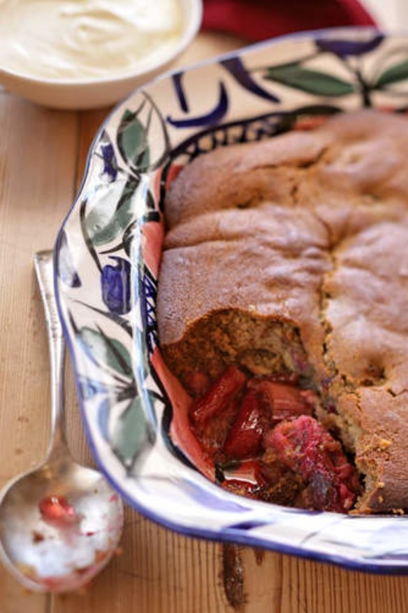 Rhubarb gingerbread sponge pudding.