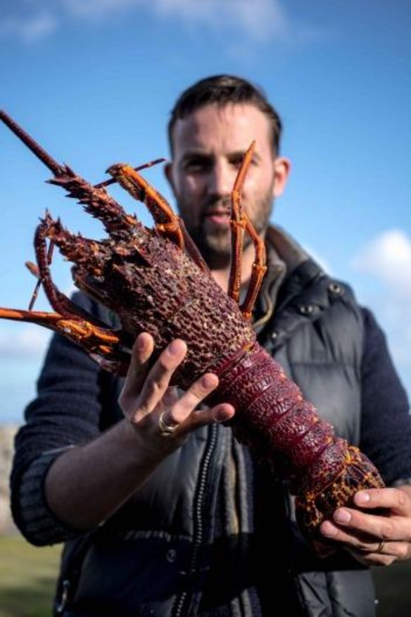 Chef Ashley Davis holding a just-caught King Island lobster.