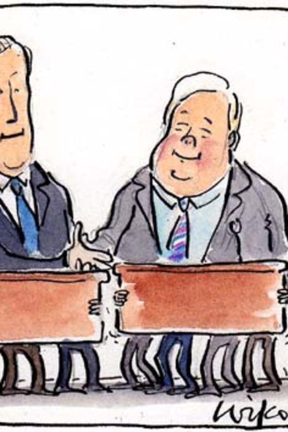 <em>Illustration: Cathy Wilcox</em>