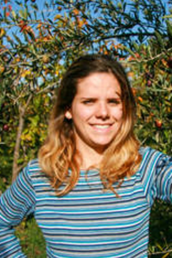 Easy pickings: Emma Bonell-Balp harvesting olives at Loriendale Orchard.