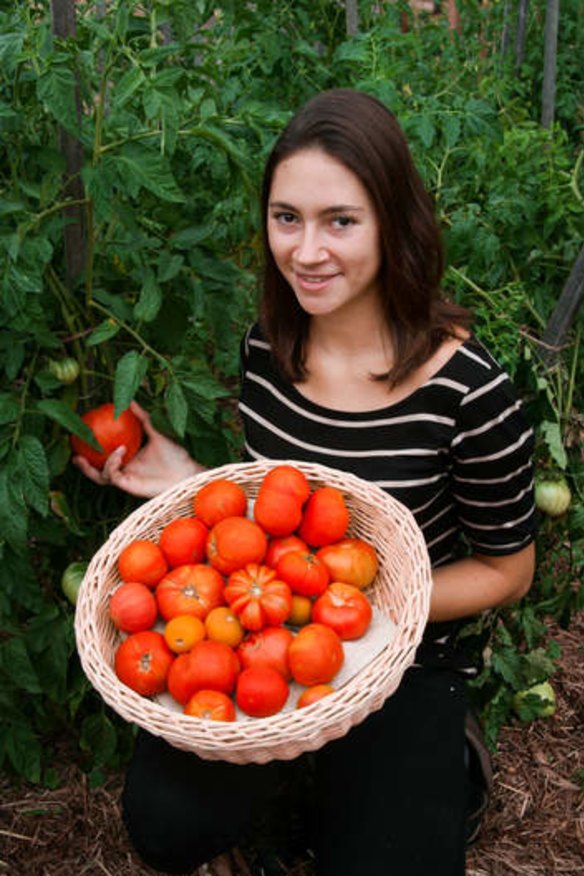 Melanie Soballa picks ripe heritage tomatoes at Loriendale.