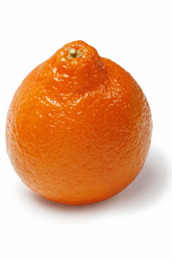 Tangelo, a grapefruit-mandarin crossover.