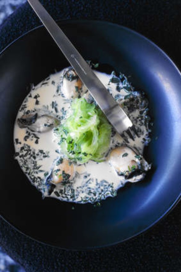 Poached oysters with cucumber and white wine cream