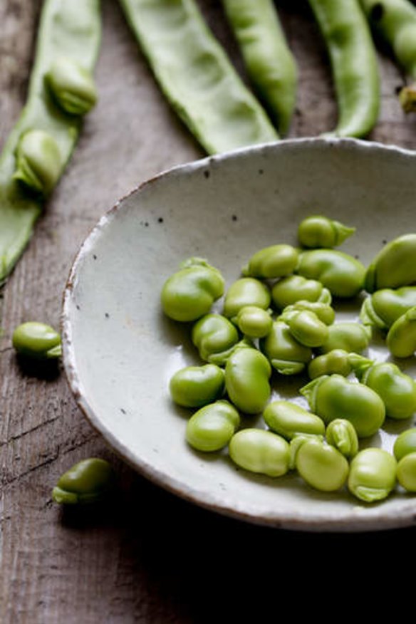We use the English term "broad bean" from the Germanic tradition.