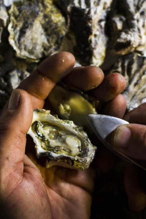 Playing around with the flavours for oysters.